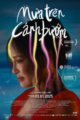 Mưa Trên Cánh Bướm